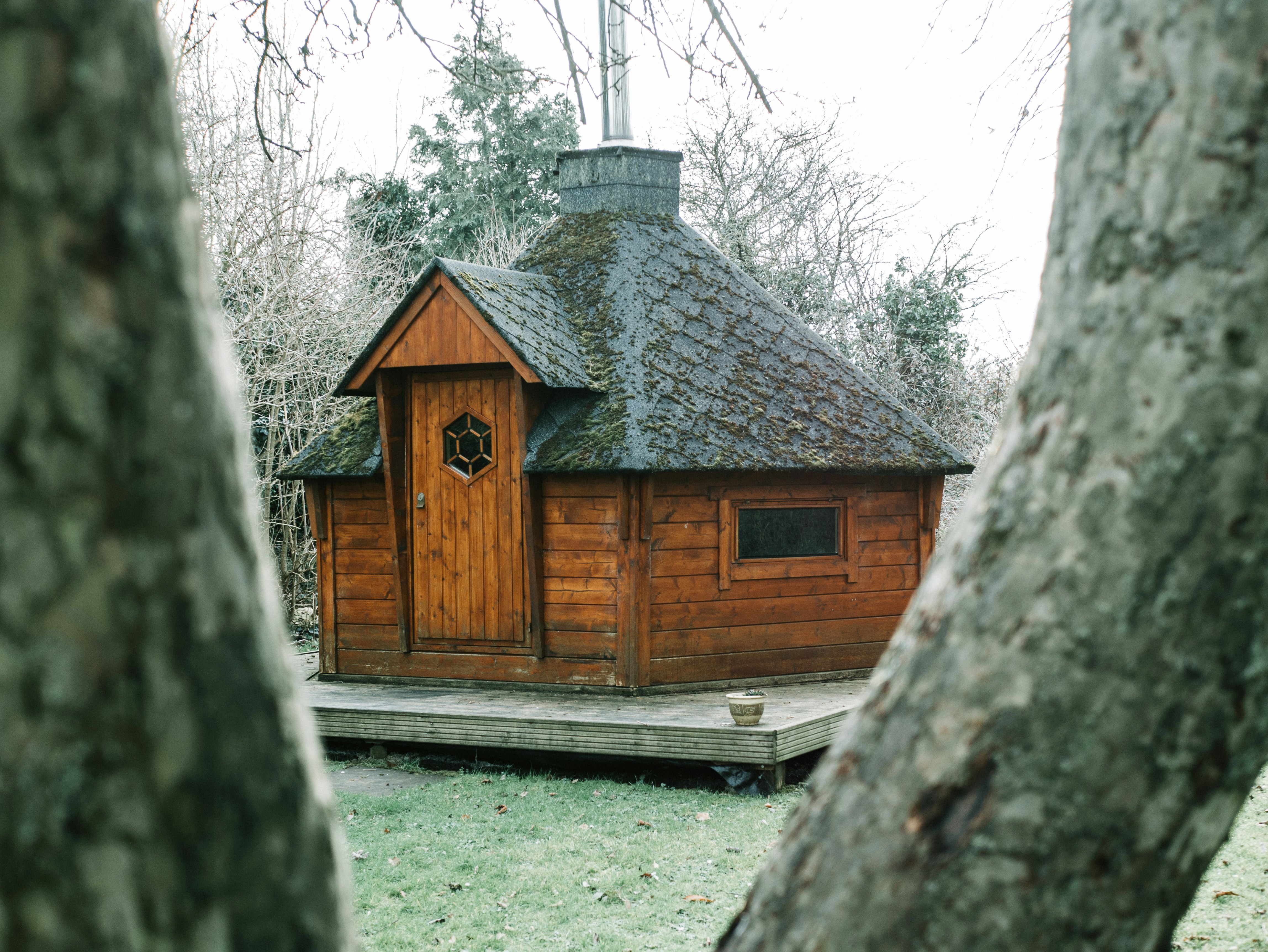 brown wooden house near trees during daytime